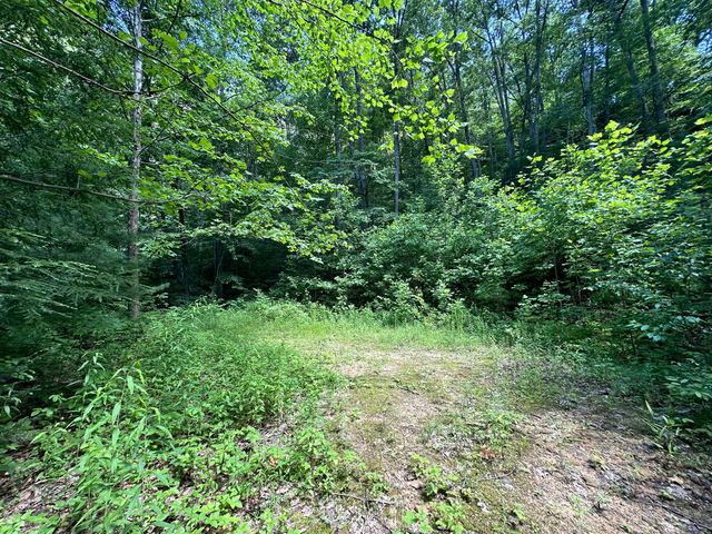 1030 Nada Tunnel Road, Stanton, KY 40380