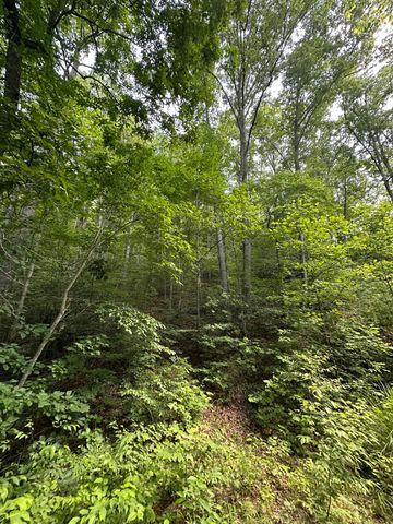 1030 Nada Tunnel Road, Stanton, KY 40380