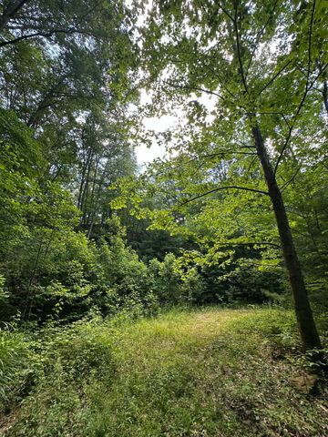 1030 Nada Tunnel Road, Stanton, KY 40380