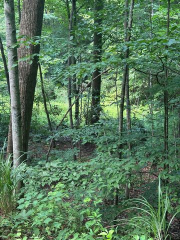 1030 Nada Tunnel Road, Stanton, KY 40380