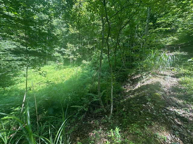 1030 Nada Tunnel Road, Stanton, KY 40380