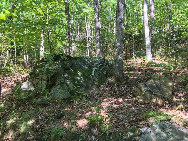 1030 Nada Tunnel Road, Stanton, KY 40380