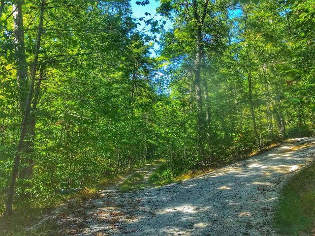 1030 Nada Tunnel Road, Stanton, KY 40380