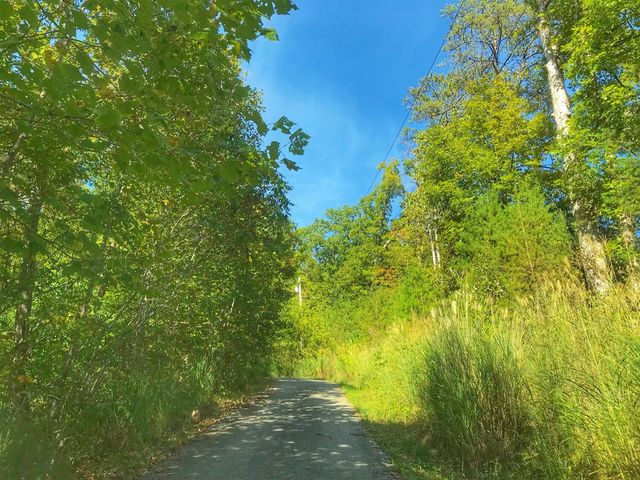 1030 Nada Tunnel Road, Stanton, KY 40380