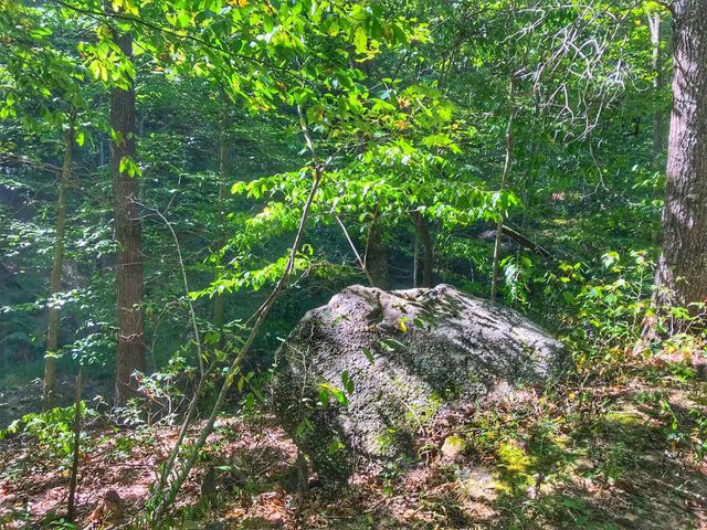 1030 Nada Tunnel Road, Stanton, KY 40380
