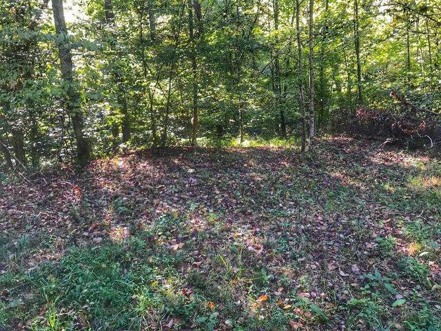 1030 Nada Tunnel Road, Stanton, KY 40380