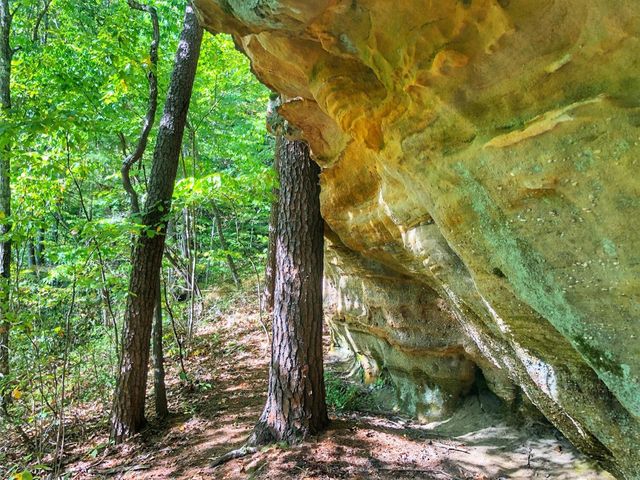 1030 Nada Tunnel Road, Stanton, KY 40380