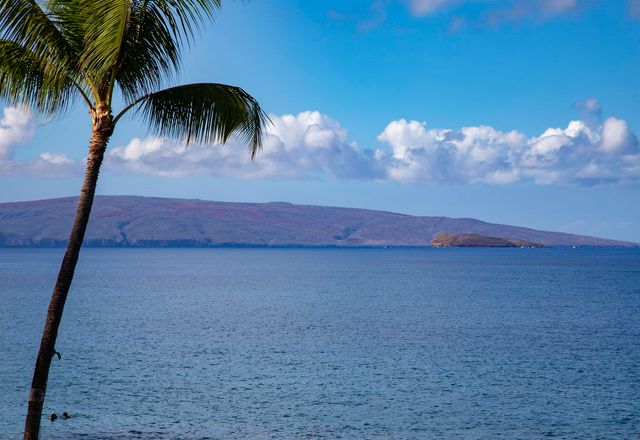 4850 Makena Alanui Apt F207 207, Kihei, HI 96753