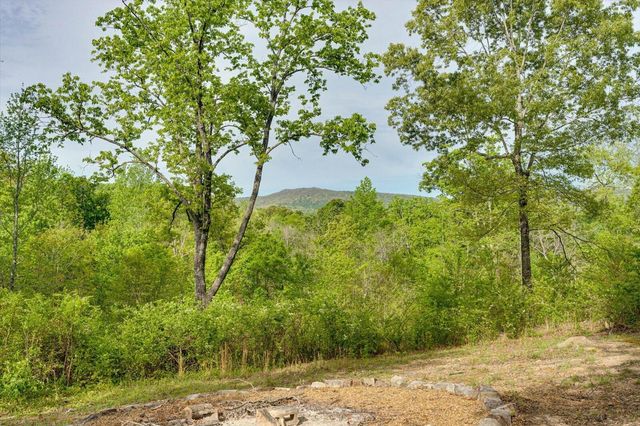 4156 N Marble Top Road, Chickamauga, GA 30707
