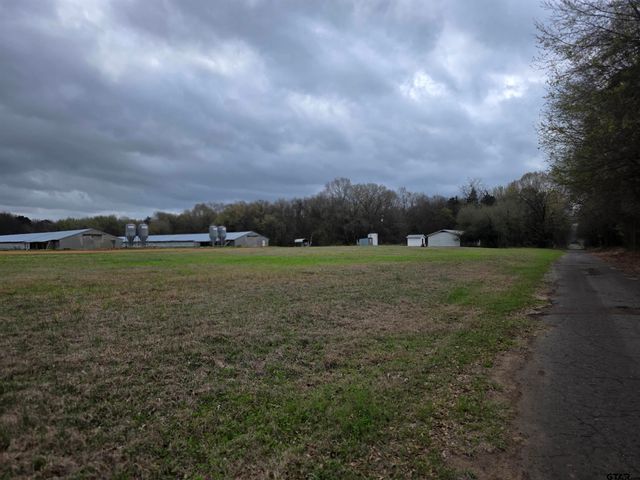 1886 Opossum Rd, Pittsburg, TX 75686