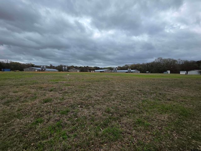 1886 Opossum Rd, Pittsburg, TX 75686