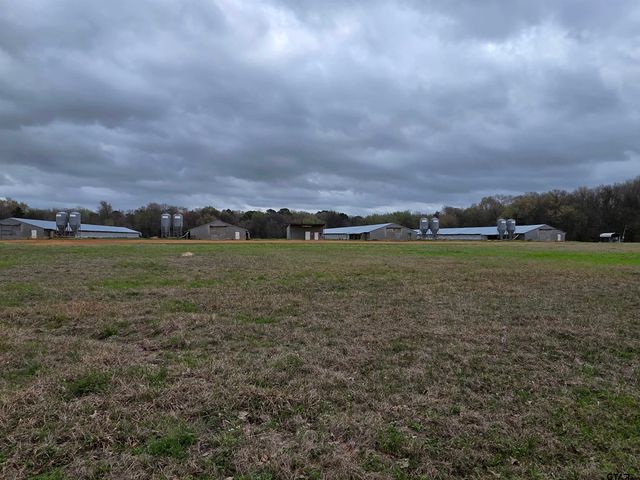 1886 Opossum Rd, Pittsburg, TX 75686