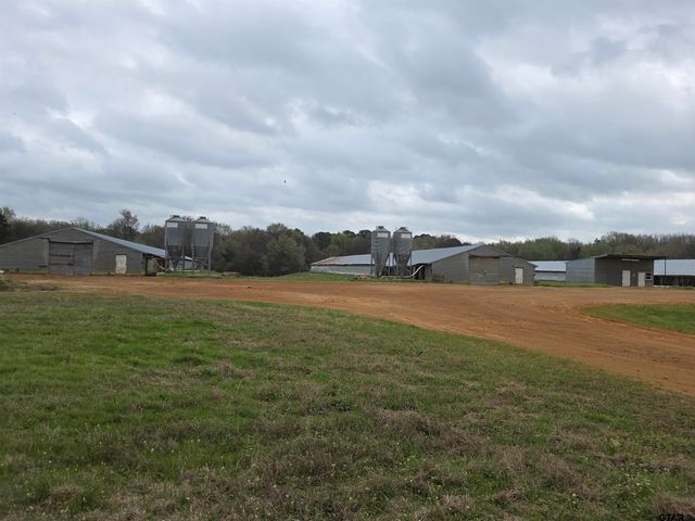 1886 Opossum Rd, Pittsburg, TX 75686