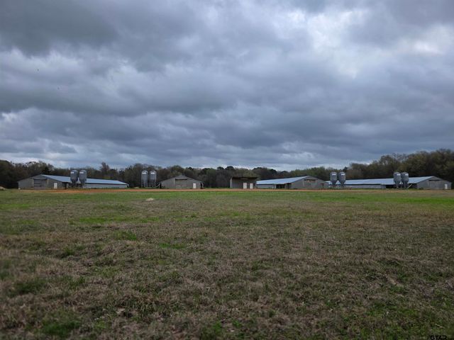 1886 Opossum Rd, Pittsburg, TX 75686