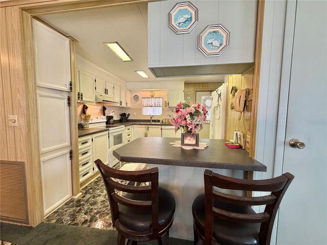 100 MARIGOLD STREET, Leesburg, FL 34748