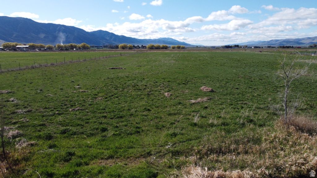 Image 5 of property listing at 1098 W SAMARIA LN, Malad City, ID 83252