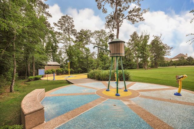 170 Black Swan Place, Magnolia, TX 77354