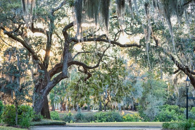 58 Marsh Rabbit Street, Bluffton, SC 29910