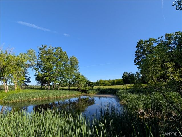 12351 Williston Road, Marilla, NY 14004