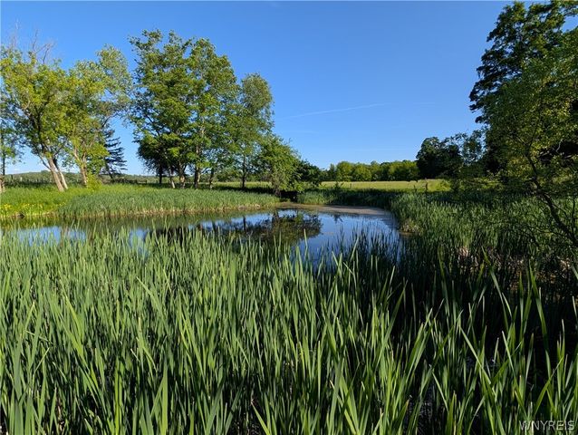 12351 Williston Road, Marilla, NY 14004