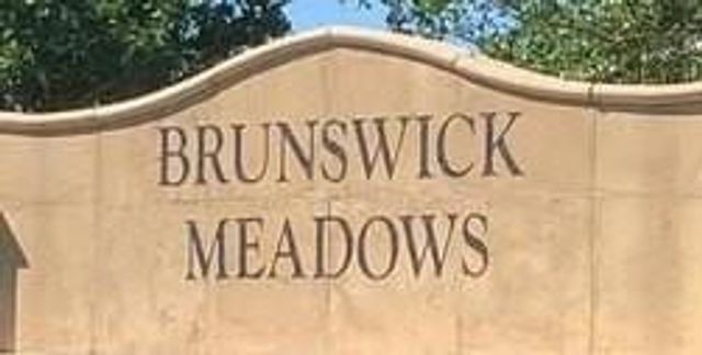 3439 Princeton Point Court, Houston, TX 77047