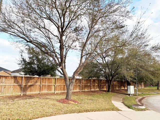 3439 Princeton Point Court, Houston, TX 77047