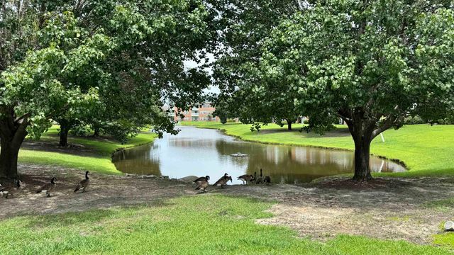3923 Gladiola Ct Unit 103, Myrtle Beach, SC 29588