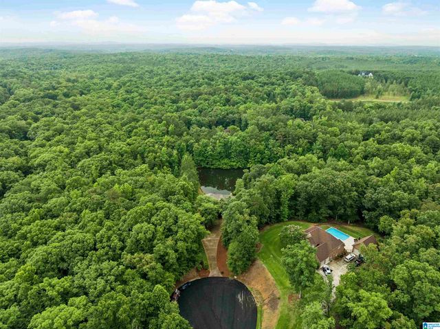 150 WEATHERTON TRAIL, Harpersville, AL 35078