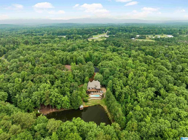 150 WEATHERTON TRAIL, Harpersville, AL 35078