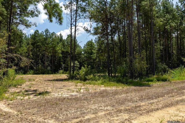 19001 Honey Grove, Livingston, LA 70754