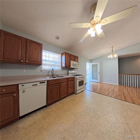 6 Cat Tail Court, Belleville, IL 62223