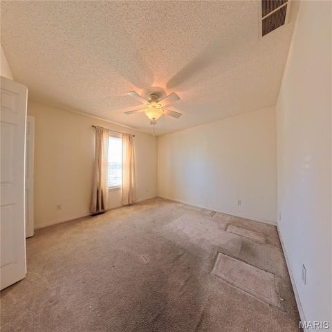 6 Cat Tail Court, Belleville, IL 62223