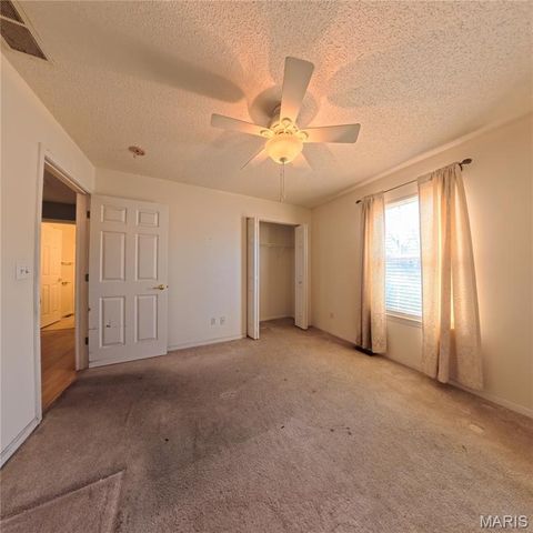 6 Cat Tail Court, Belleville, IL 62223