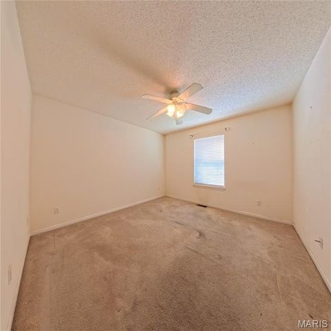 6 Cat Tail Court, Belleville, IL 62223