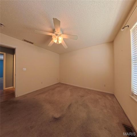 6 Cat Tail Court, Belleville, IL 62223