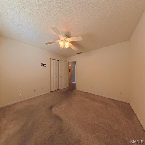 6 Cat Tail Court, Belleville, IL 62223