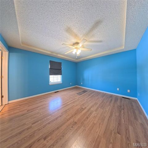 6 Cat Tail Court, Belleville, IL 62223