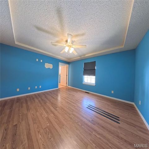 6 Cat Tail Court, Belleville, IL 62223