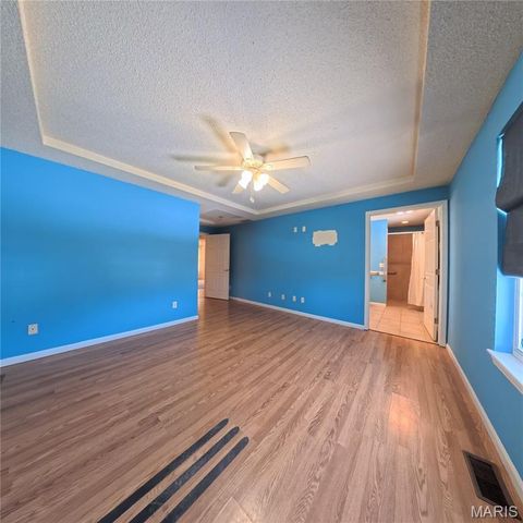 6 Cat Tail Court, Belleville, IL 62223