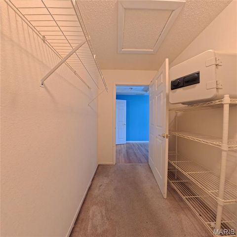 6 Cat Tail Court, Belleville, IL 62223