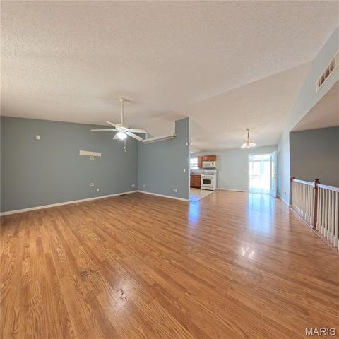 6 Cat Tail Court, Belleville, IL 62223