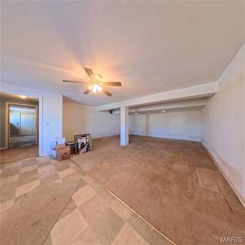 6 Cat Tail Court, Belleville, IL 62223