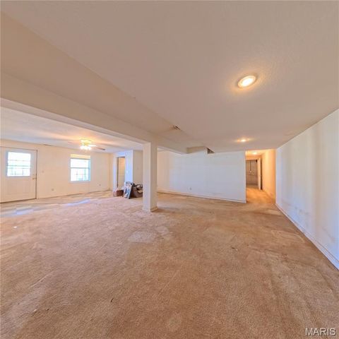 6 Cat Tail Court, Belleville, IL 62223