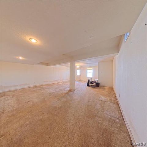 6 Cat Tail Court, Belleville, IL 62223