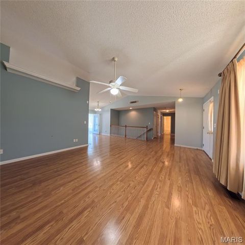 6 Cat Tail Court, Belleville, IL 62223