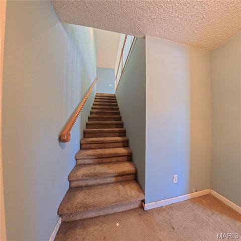 6 Cat Tail Court, Belleville, IL 62223