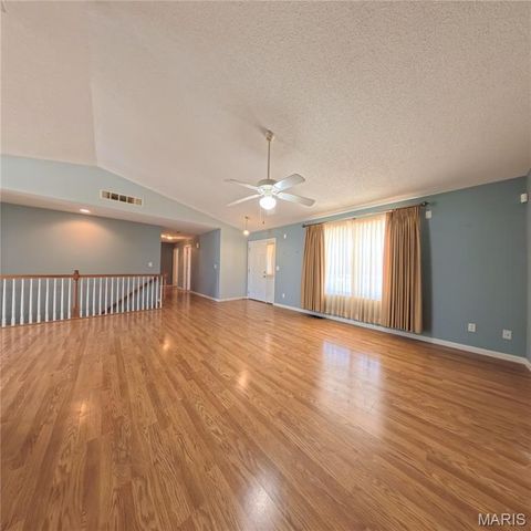 6 Cat Tail Court, Belleville, IL 62223