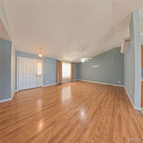 6 Cat Tail Court, Belleville, IL 62223