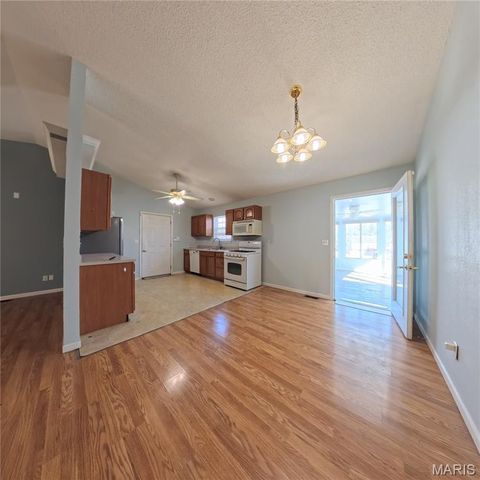 6 Cat Tail Court, Belleville, IL 62223