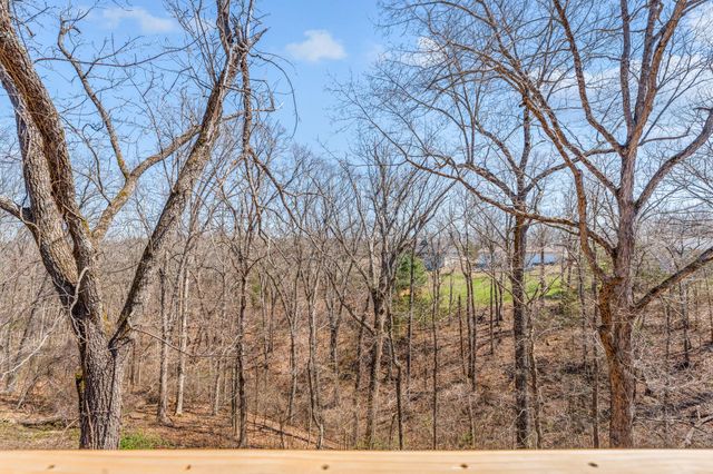 160 Yates Avenue, Reeds Spring, MO 65737